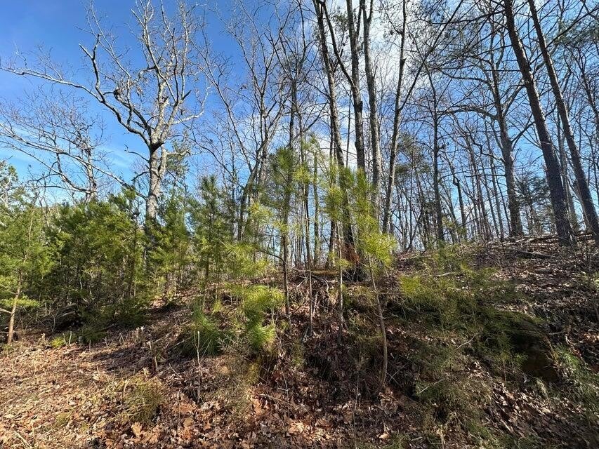 125 Fox Trail Drive