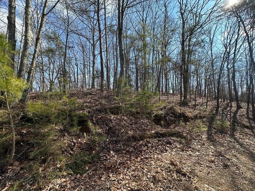 125 Fox Trail Drive
