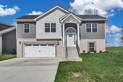 Photo of 351 Cardinal Creek, Clarksville, TN 37040 (MLS # 3180892)