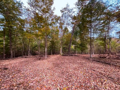 5 Highway 149 Cumberland City TN 37050