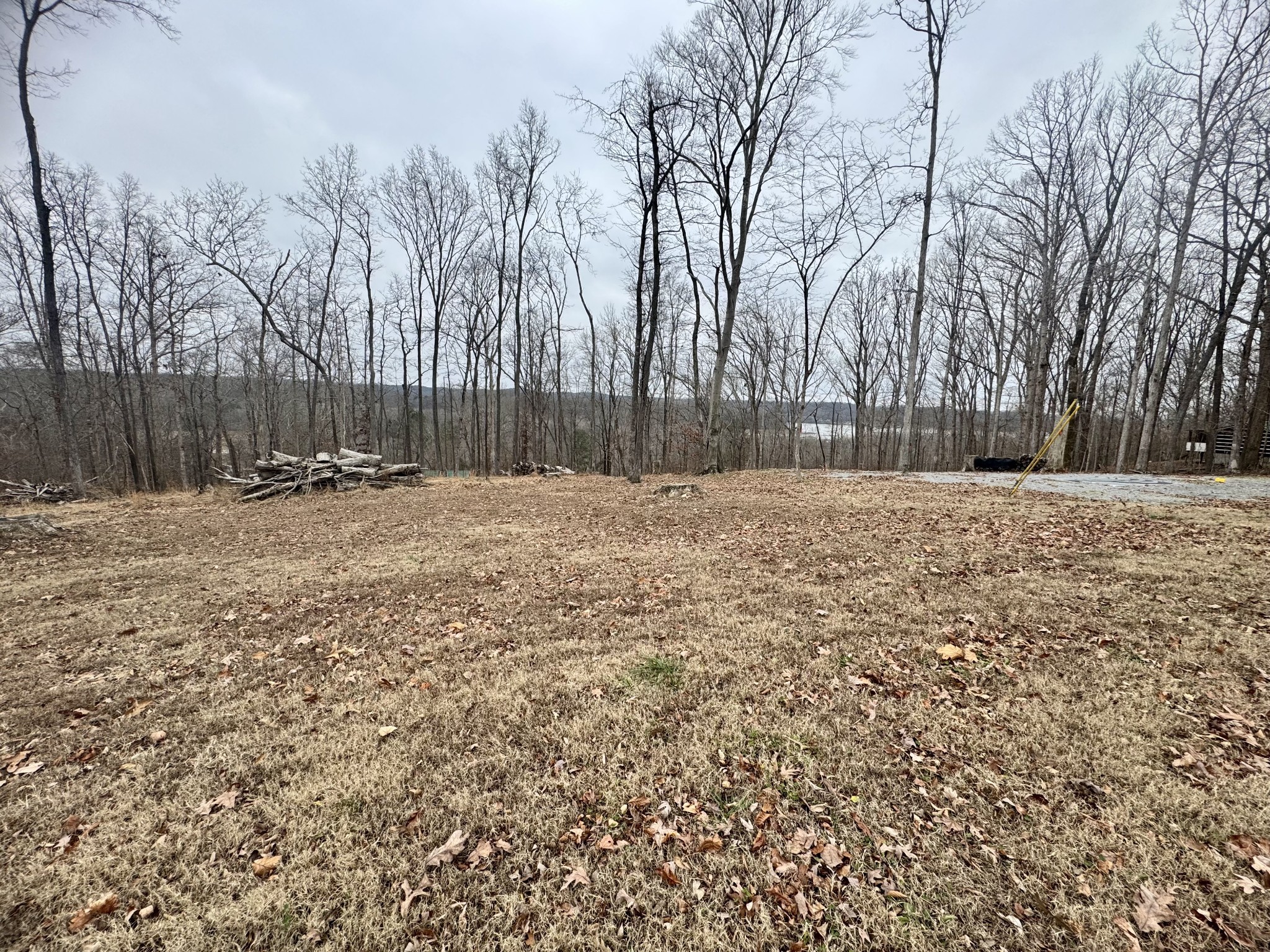 372 Cheree Loop
