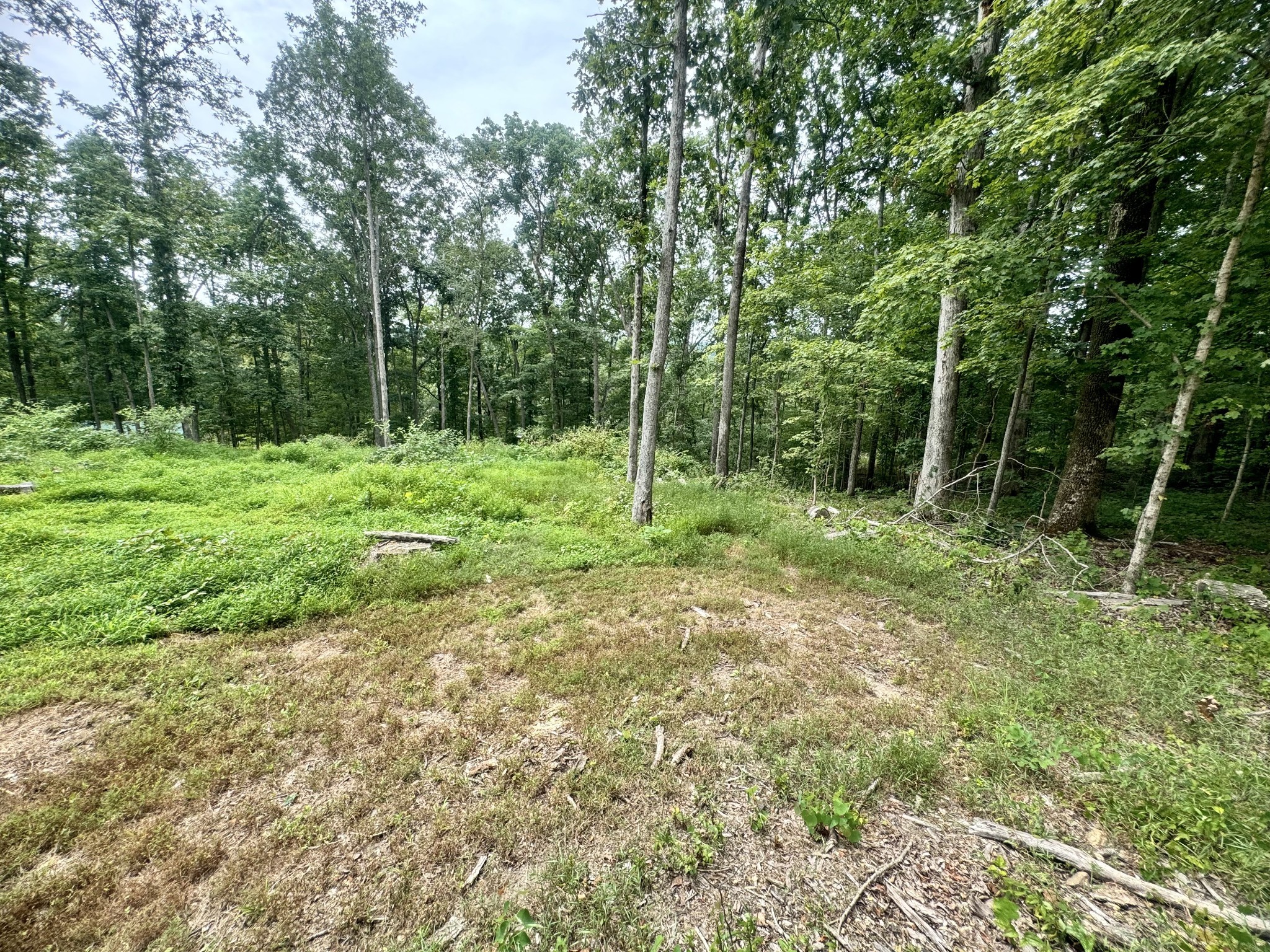 372 Cheree Loop