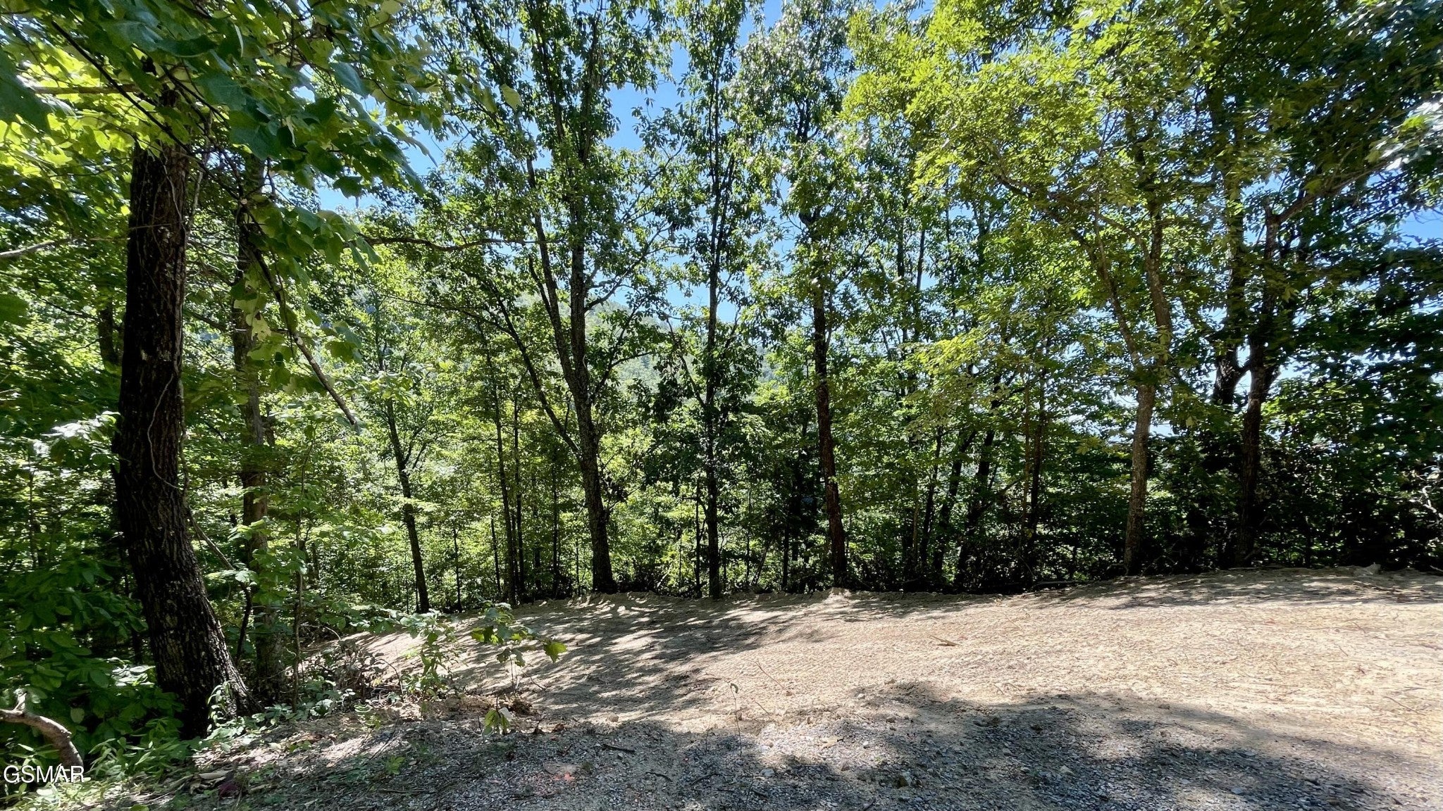 2324 Red Maple Lane