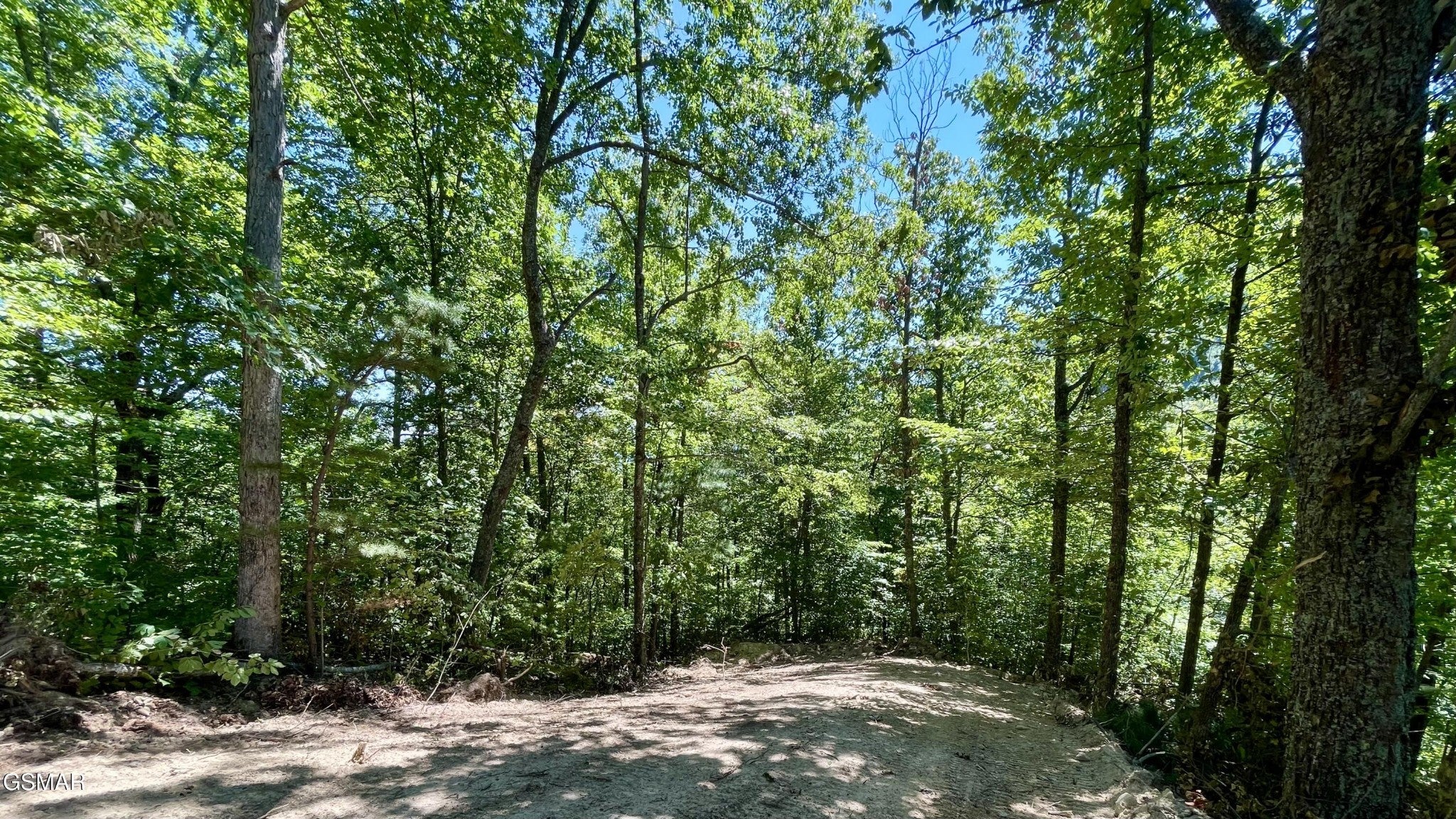 2324 Red Maple Lane