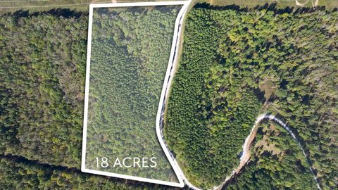 Bear Hollow Dr, Waverly, TN 37185 - MLS#: 2747935