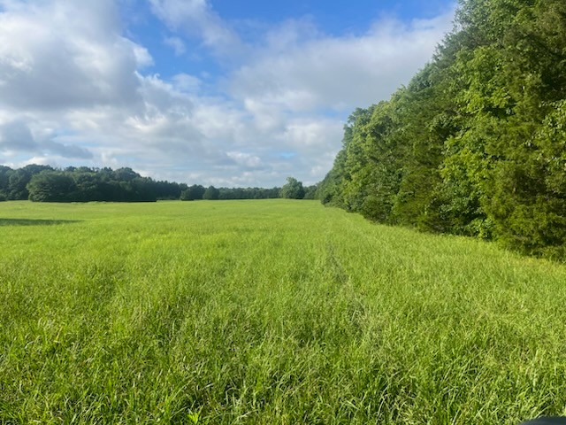 0 Clark Rd