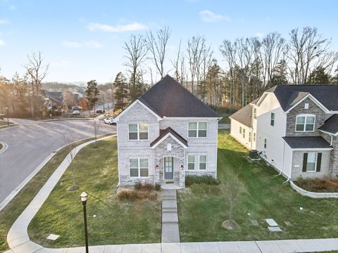 Photo of 3009 Ozment Dr, Nolensville, TN 37135 (MLS # 3061853)