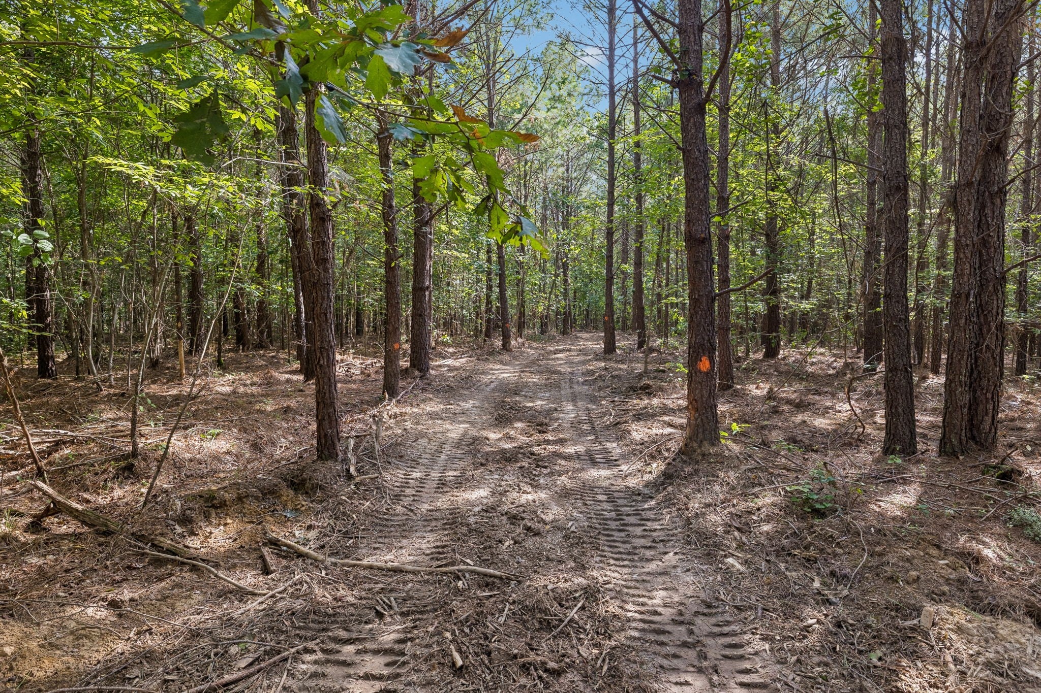 0 Falls Branch Road