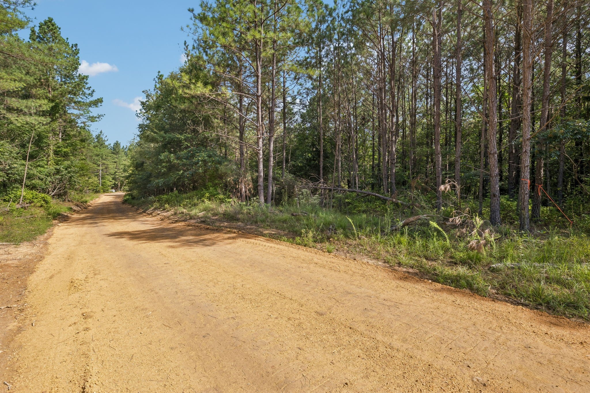 0 Falls Branch Road