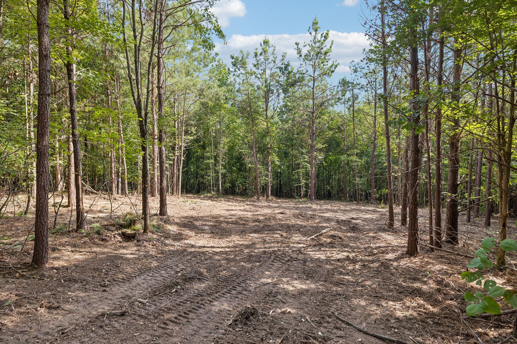 0 Falls Branch Road