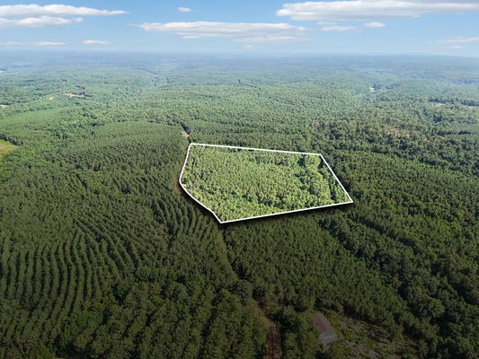 0 FALLS BRANCH ROAD, DUCK RIVER, TN 38454 - Image 45520aa84b65a6d6bf9b78c3a1069eda/508273132