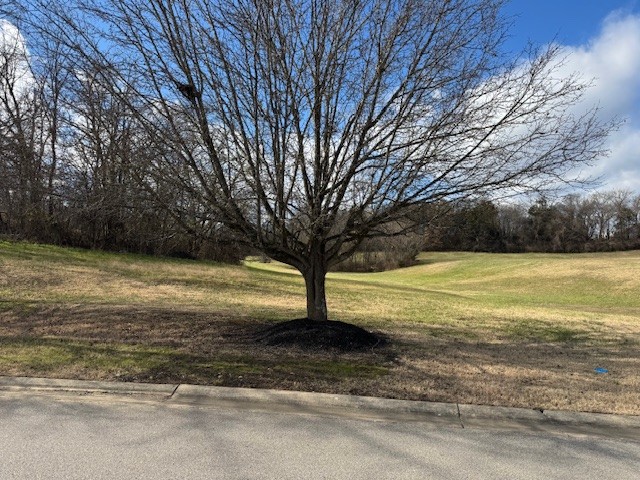 2905 N Mount Juliet Rd