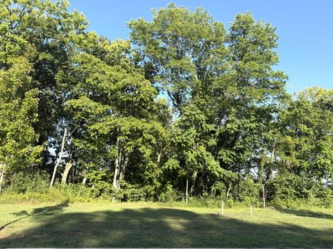 8514 Blanton Ct College Grove TN 37046