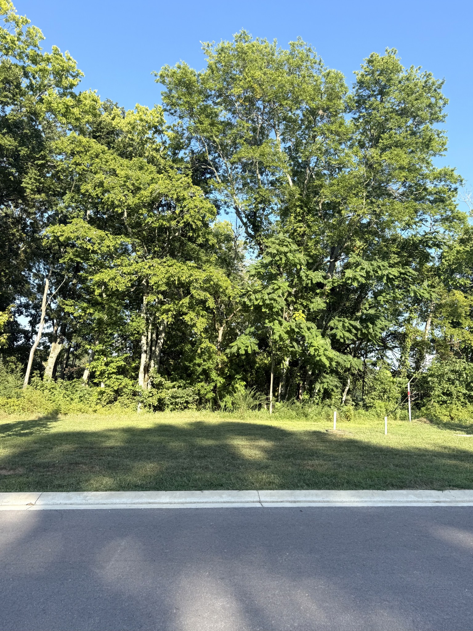 8514 Blanton Ct
