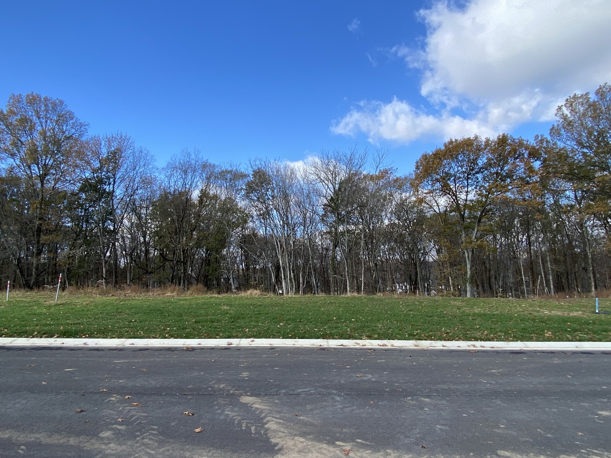 8514 Blanton Ct