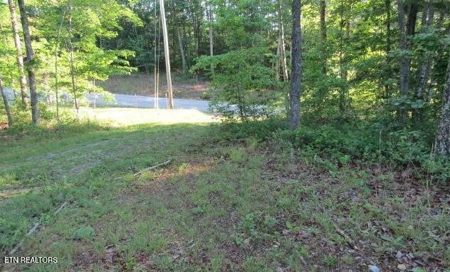 0 Green Ridge Tr