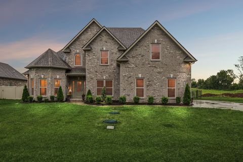 718 Walnut Grove Rd Christiana TN 37037