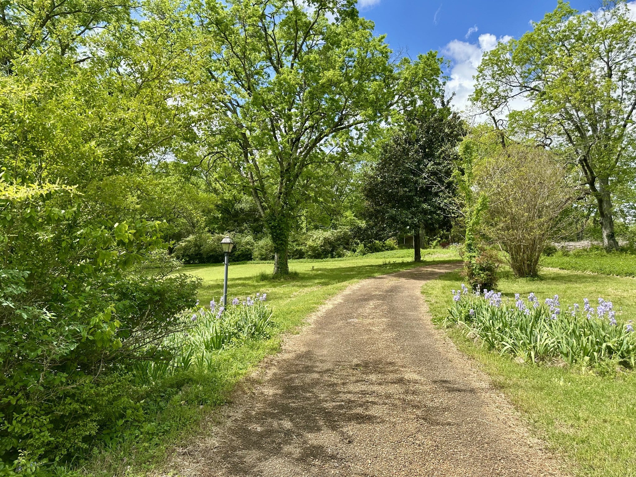 6001 Hillsboro Pike