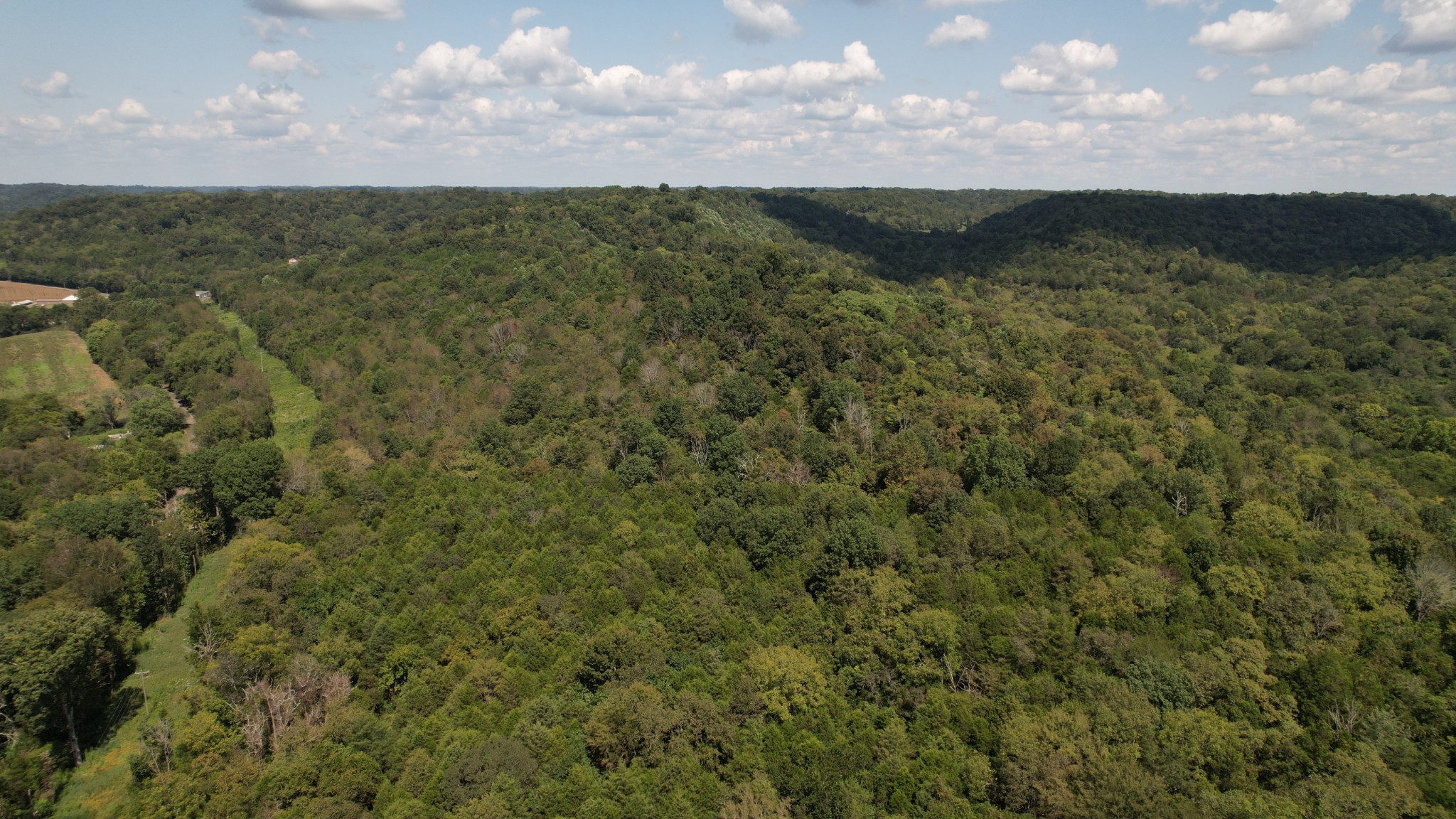 0 McBurg Dellrose Rd Tract 1