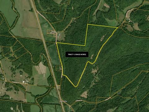 0 McBurg Dellrose Rd Tract 1 Dellrose TN 38453