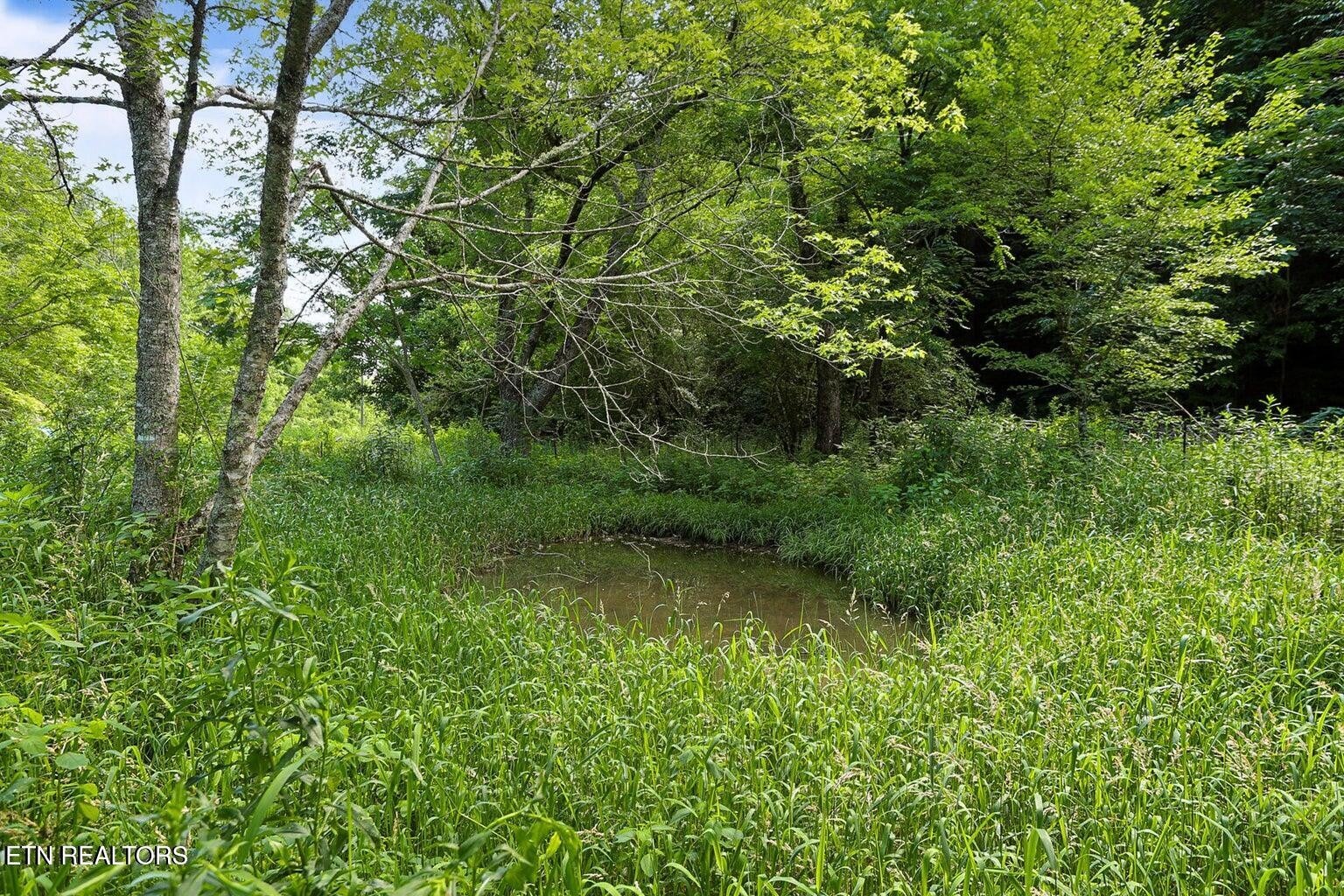 0 Caney Creek Rd