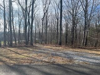 214 Gray Creek Road