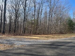 214 Gray Creek Road