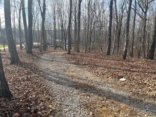 214 Gray Creek Road