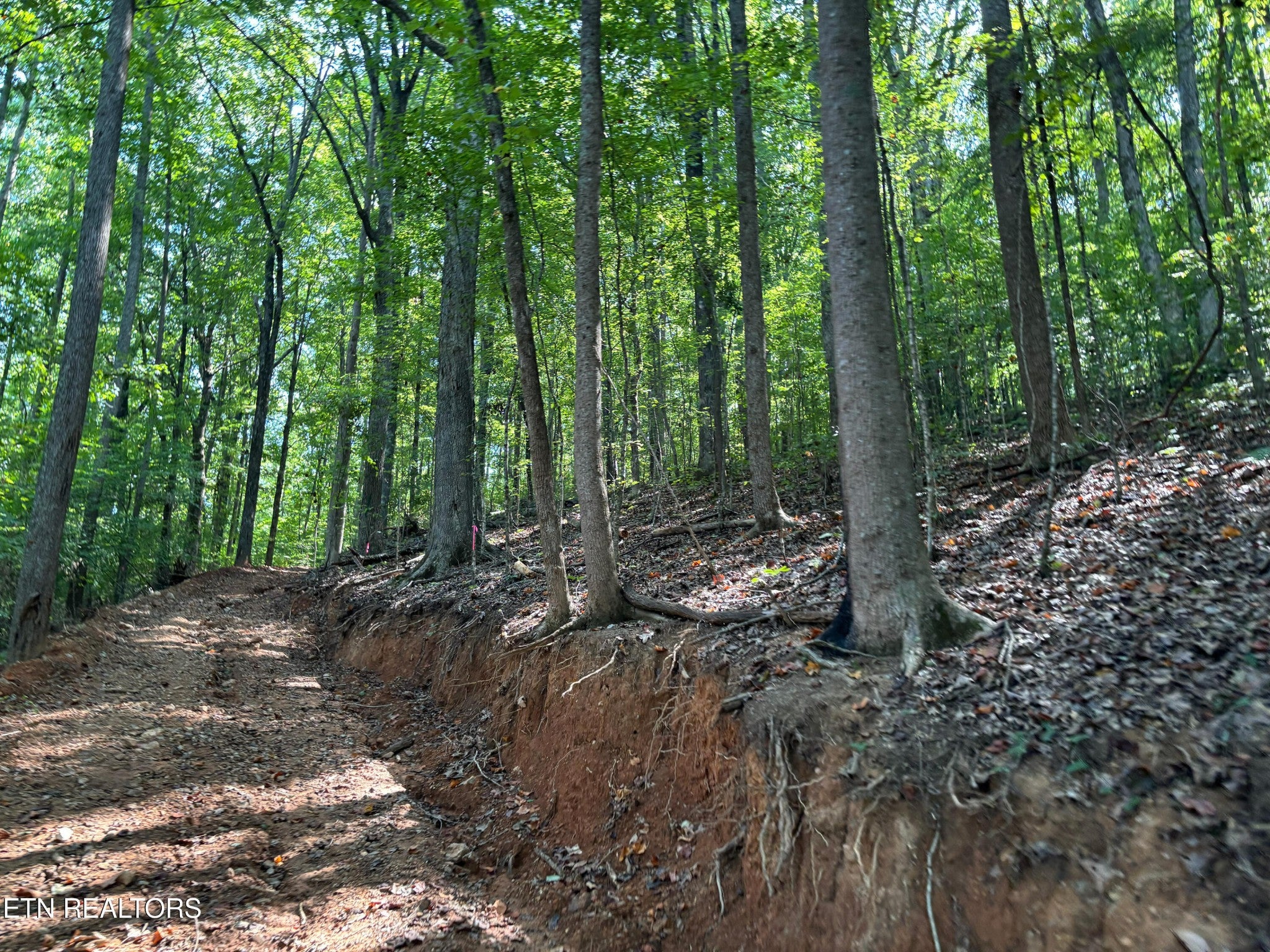 0 County Road 38