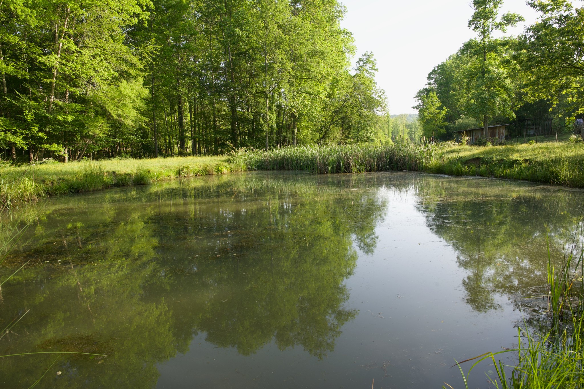 40A Barker Cove Loop