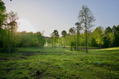 40A Barker Cove Loop Palmer TN 37365
