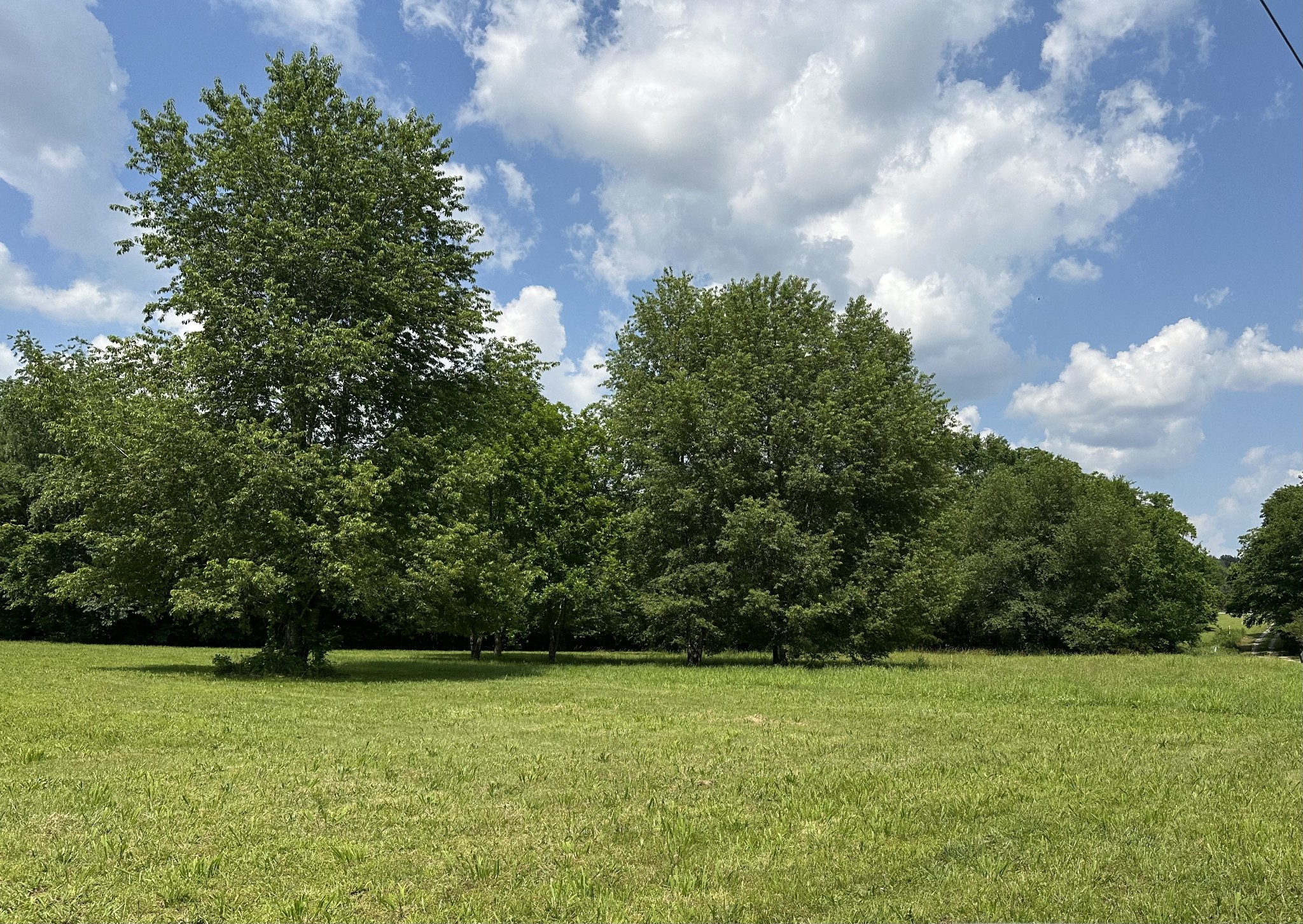 1771 Monsanto Rd