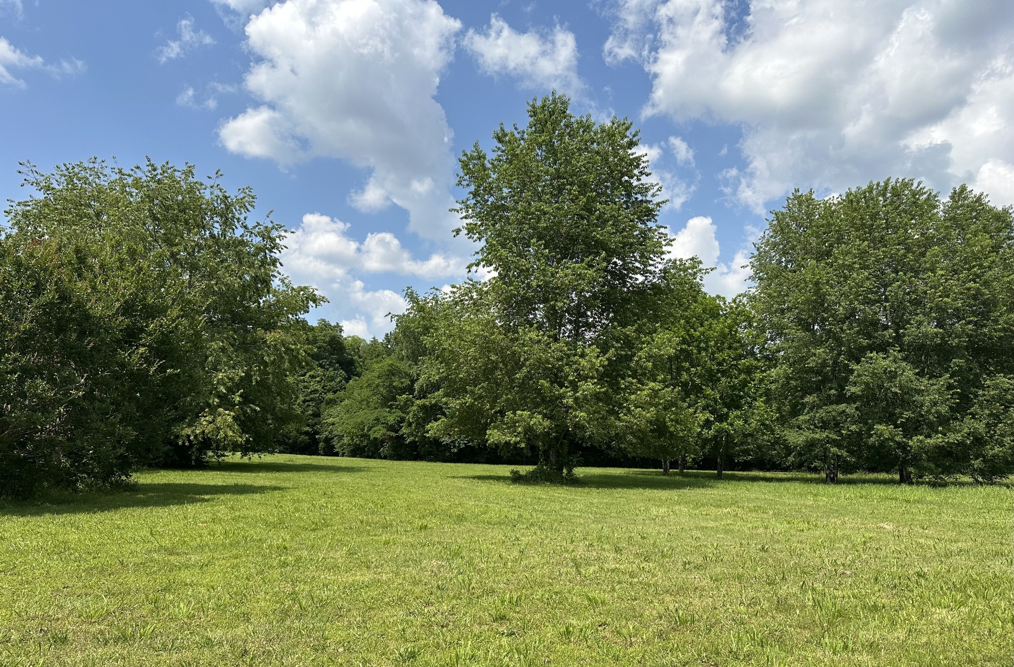 1771 Monsanto Rd