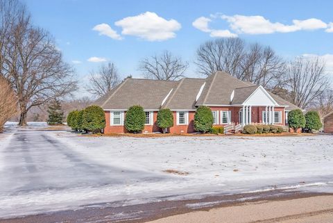 162 Anderson Dr Mc Kenzie TN 38201