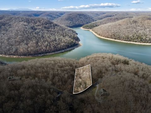 16 Shoreside Dr Smithville TN 37166