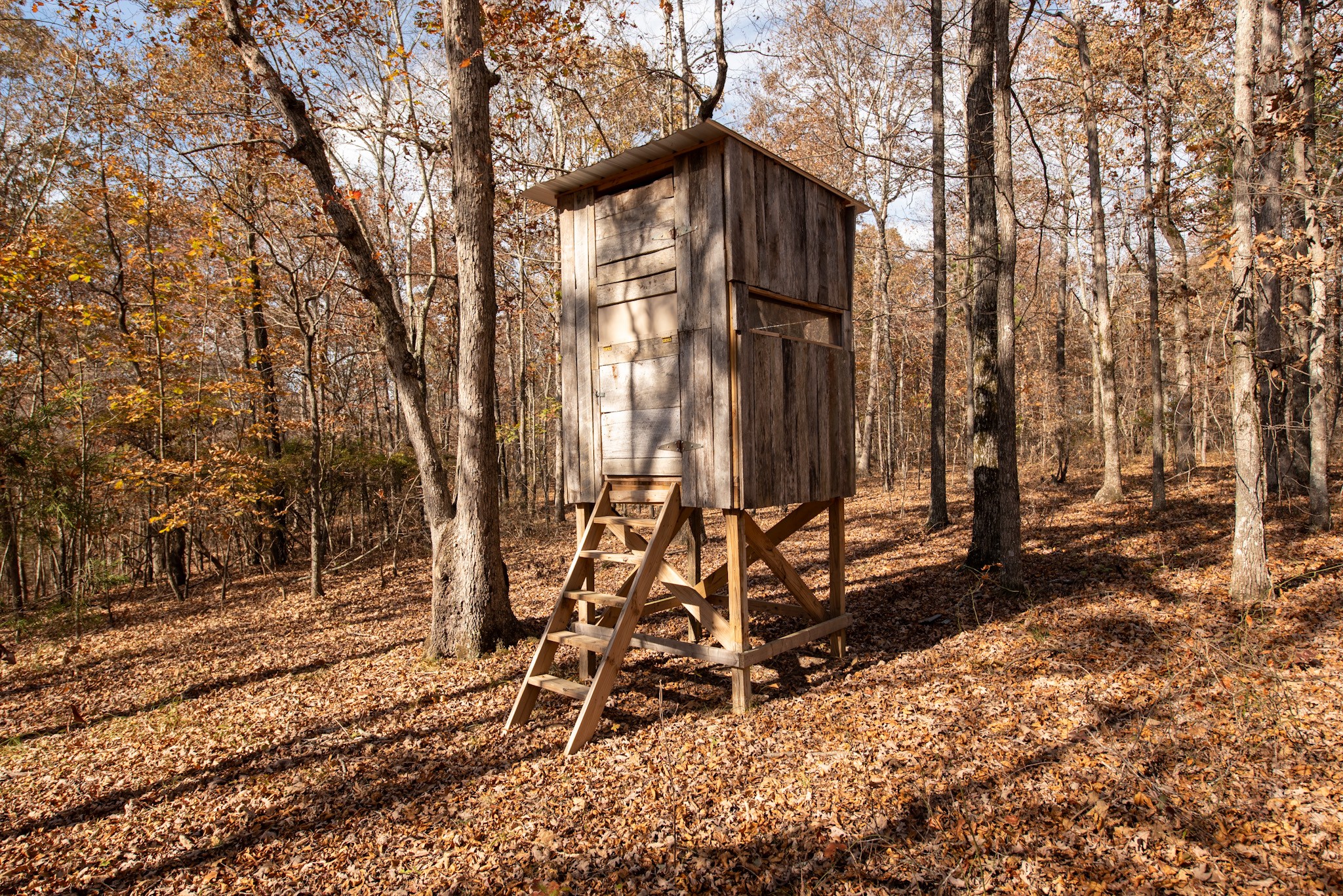 1286 David Patterson Rd