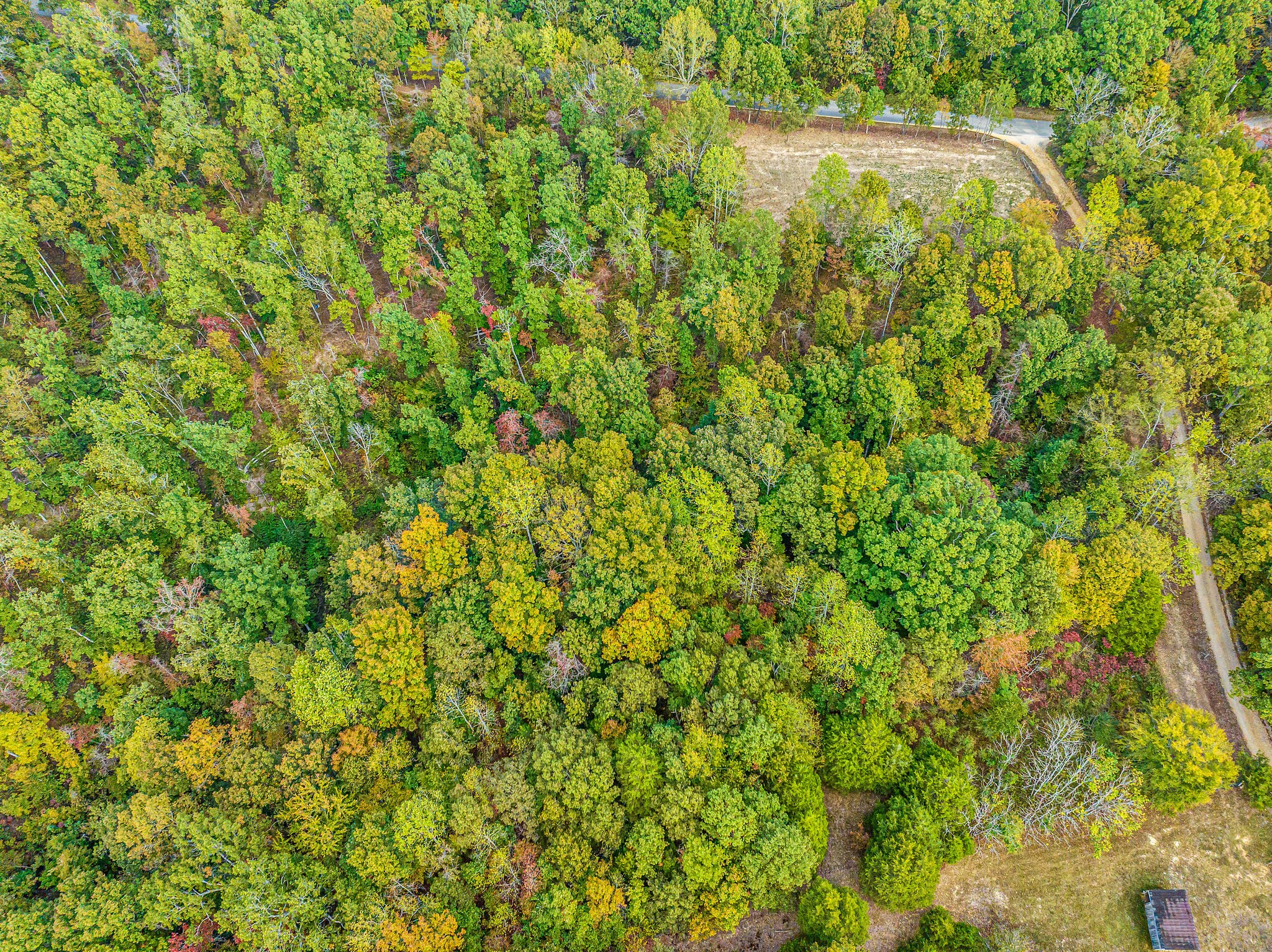 0 Primm Springs Road Tract #2
