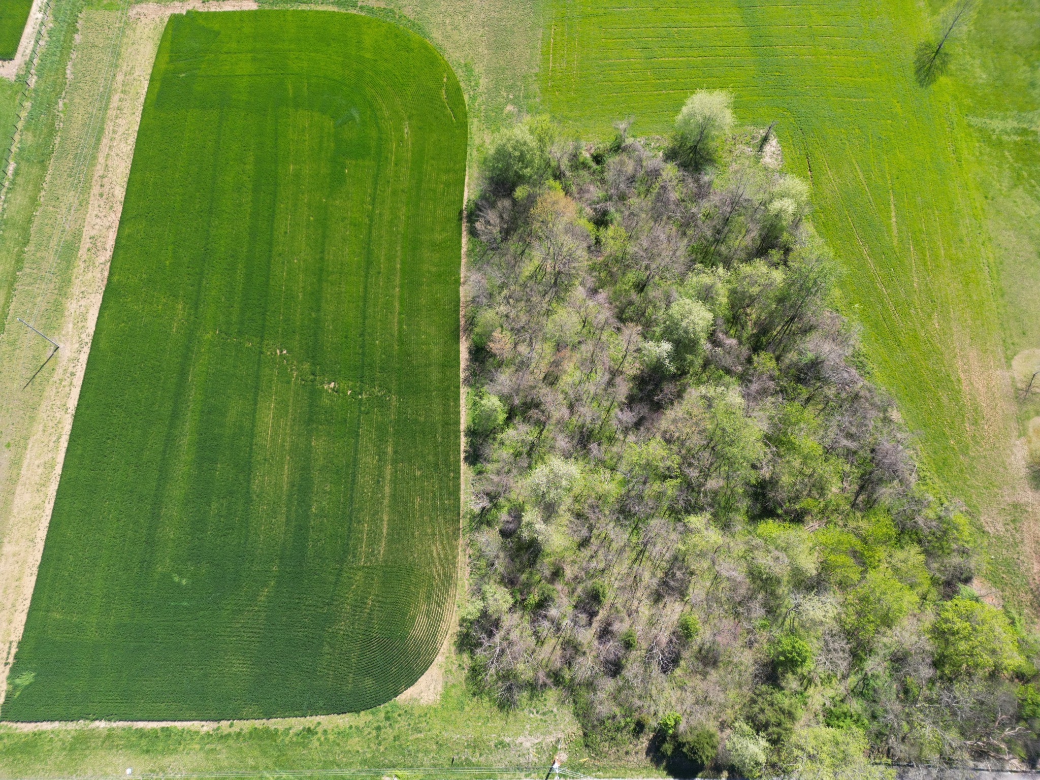 2641 Battle Creek Rd