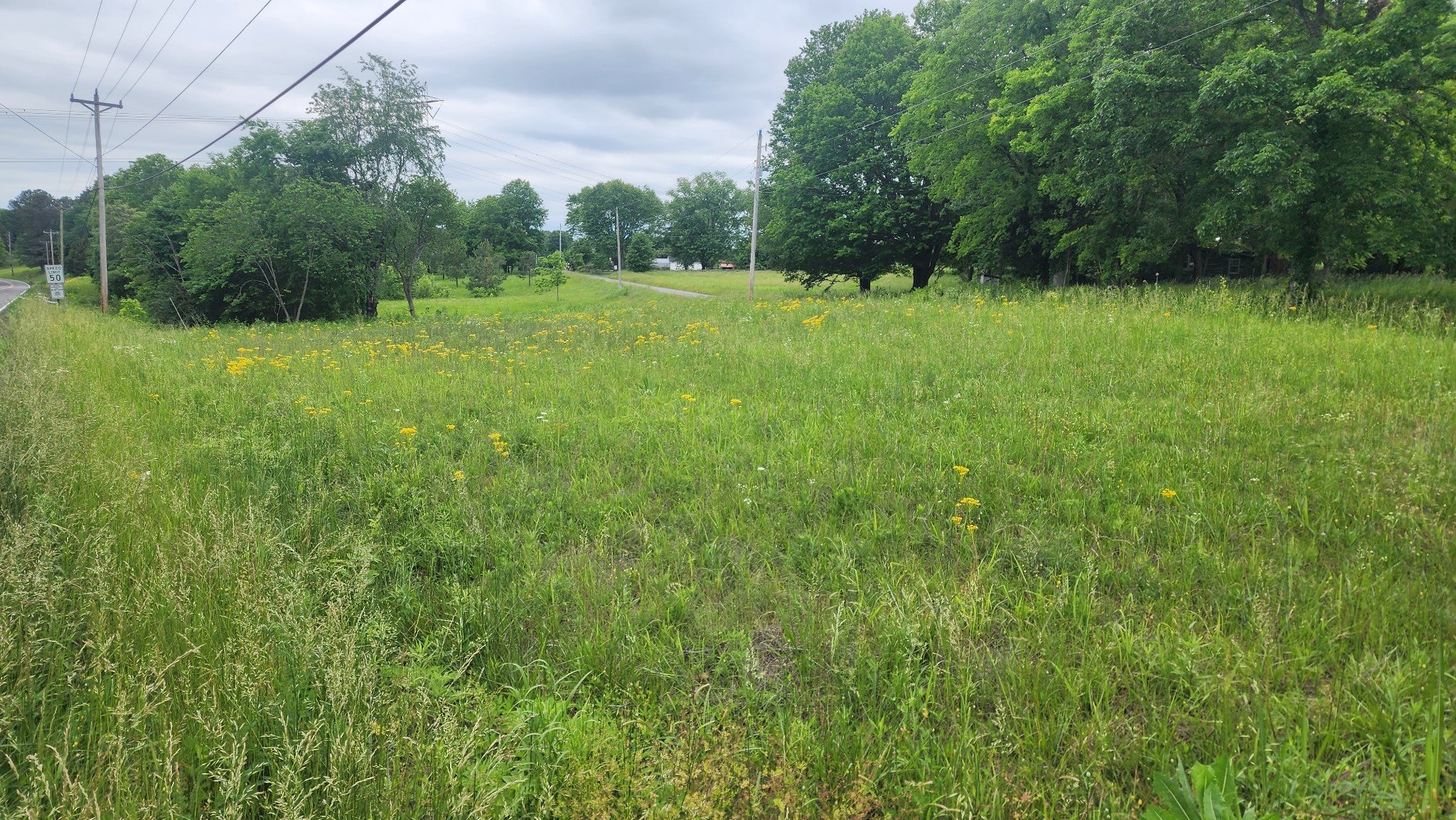 3147 Old New Cut Rd