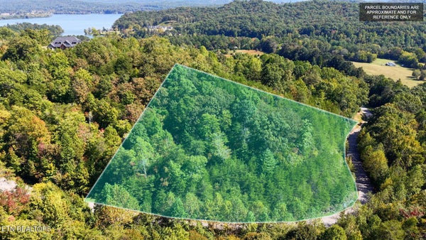 315 ENCLAVE WAY, KINGSTON, TN 37763 - Image 4662c1bd47d94dd08cd4fcbc67aecd05/433803048