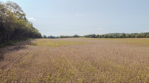 5 McBurg Dellrose Road Dellrose TN 38453