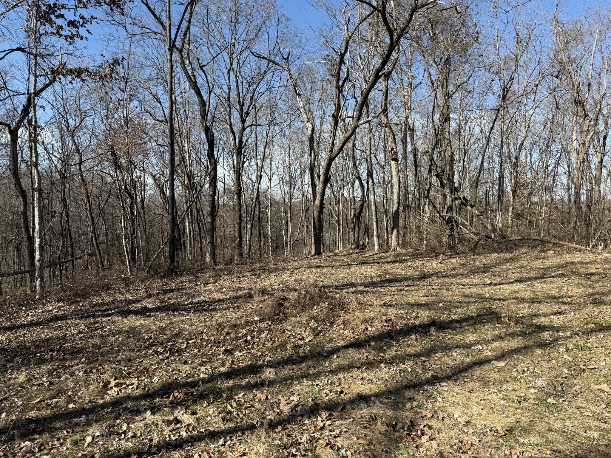 0 Hester Beasley Rd Lot 3