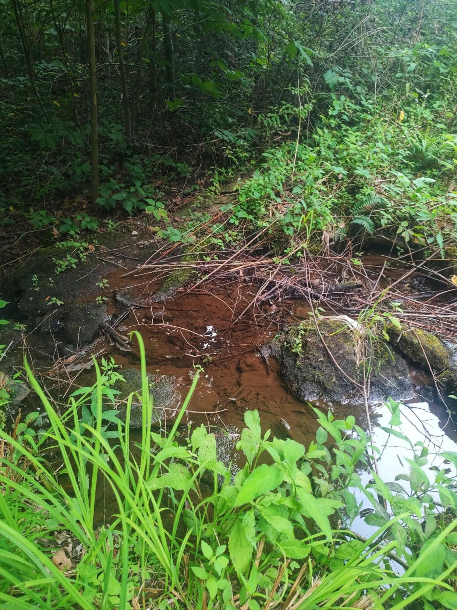 185 Raccoon Ridge