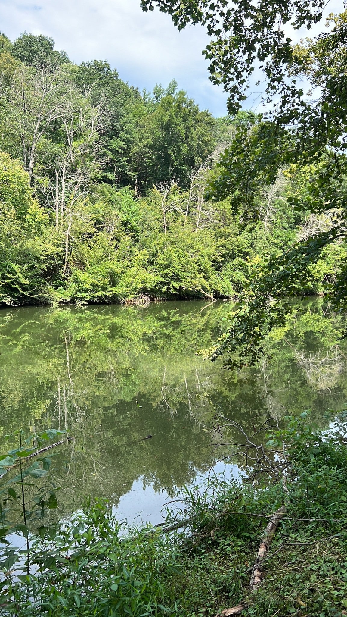 0 Hidden River Rd