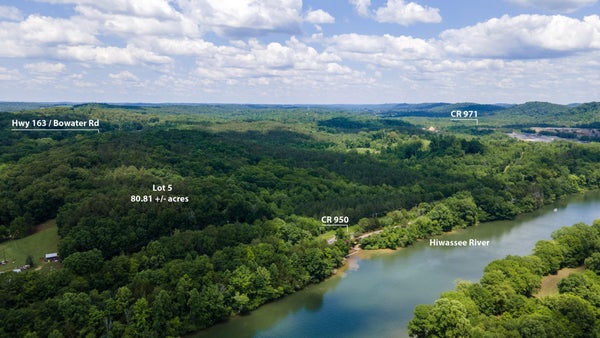 100 STATE HWY 163, CALHOUN, TN 37309 - Image 46f7f9c793c3bfb8a99e6cd9dfa25cab/4083007878