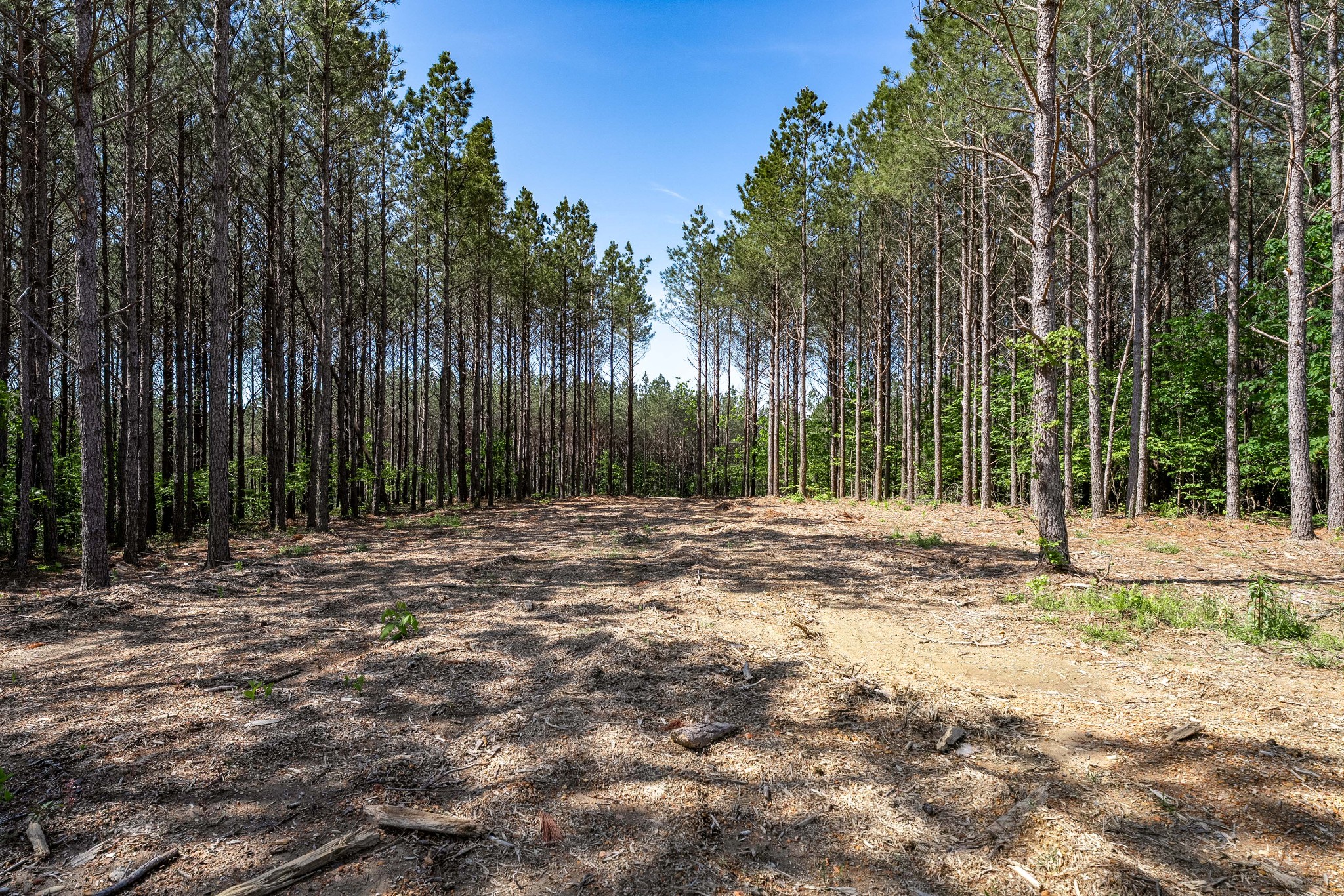 928 Seiber Ridge Rd