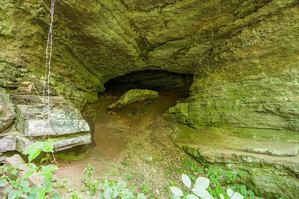 0 Burks Hollow Rd