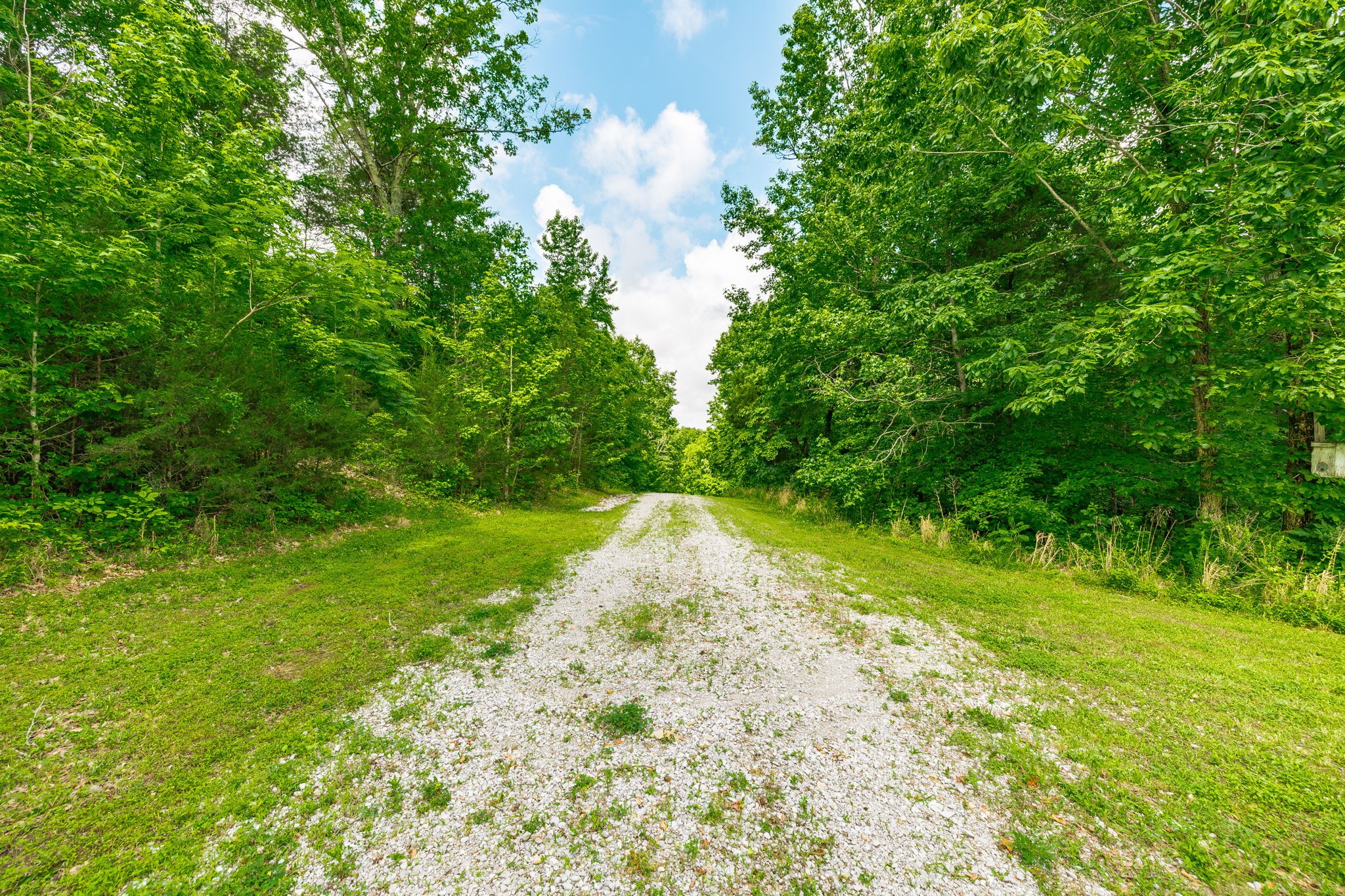 1650 Puryears Bend Rd
