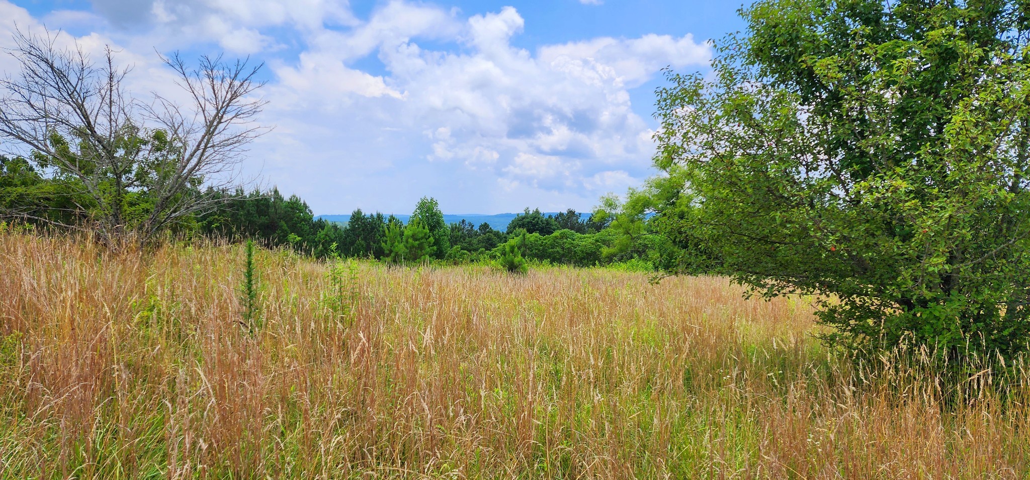 5199 Burkett Chapel Rd