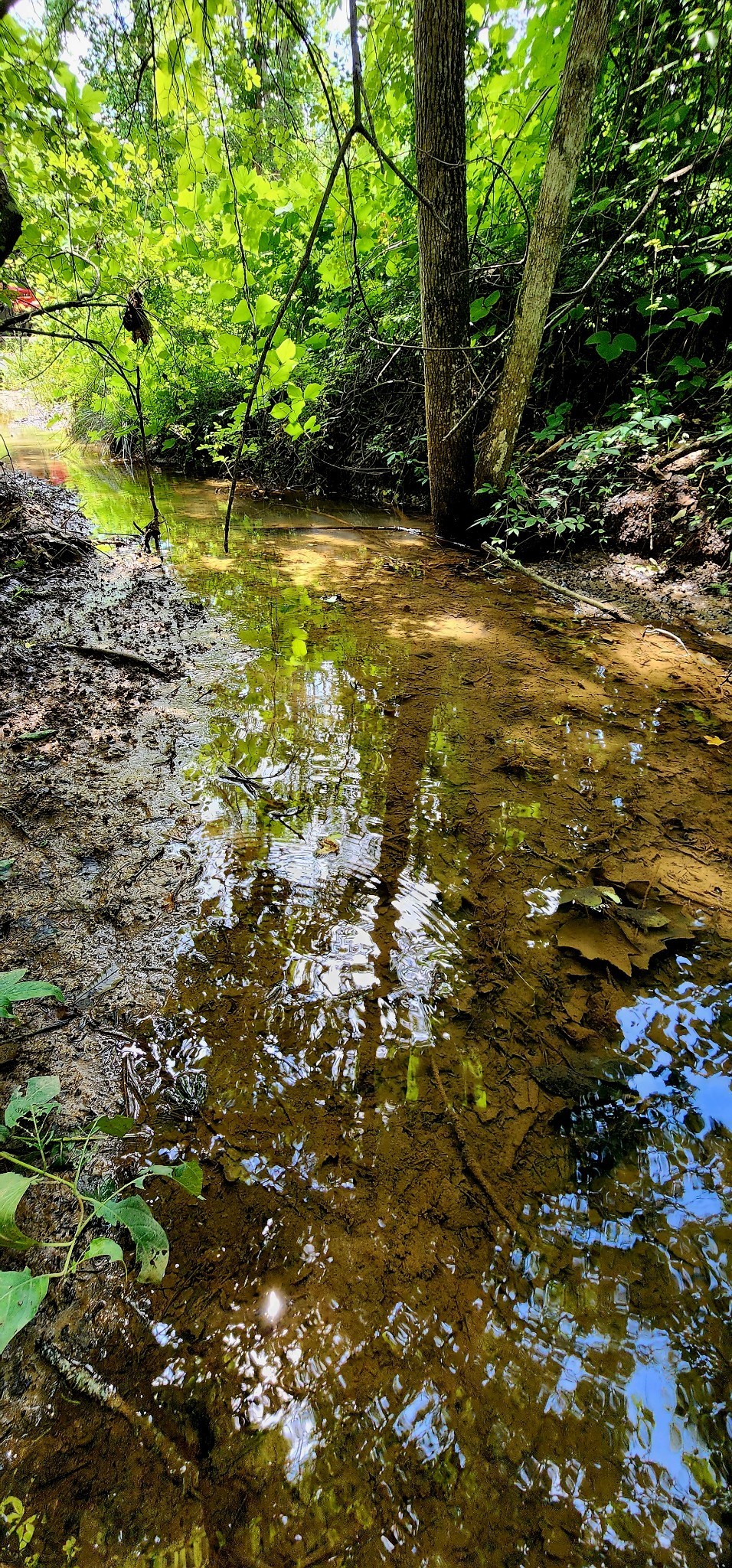 5199 Burkett Chapel Rd